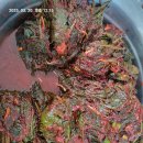 냉이와깻잎 이미지