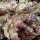 26년산 남원 햇생강 내일부터 발송합니다 이미지
