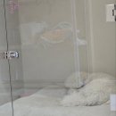 둘리유치원 이미지