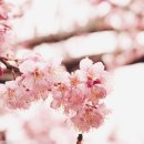 행운행정사 이미지