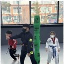 미르태권도 이미지