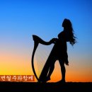 황금성 이미지