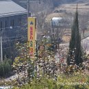 세종 아이랑 가볼만한 곳 도토리숲키즈파크 자연놀이터