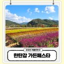 창동로 | 포천 가볼만한곳 한탄강 생태경관단지 가든페스타 y자 출렁다리 후기