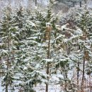 의료법인 대한불교조계종 승려복지 아미타불교요양병원 이미지