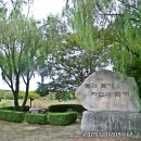 갈대습지공원 이미지