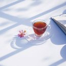 심무물욕 이미지