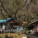 봄여름가을겨울펜션민박 이미지