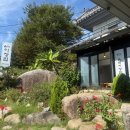 닭잡고오리내고