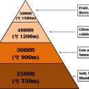 팔팔 커피