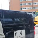 허스키 사랑 | 트롬쇠 여행 3일차 허스키 개썰매 투어 추천