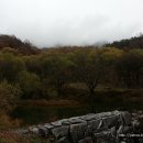 (경기도여행/용인여행)용인자연휴양림. 용인에서 자연과 교감하기 가장 좋은 곳 용인자연휴양림에서 힐링해보세요. 이미지