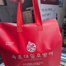 개도중앙1로 | 속초 중앙시장 회포장 맛집 속초대일호방어 깔끔한 포장 후기