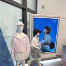 폴햄폴햄키즈 네이버블로그