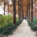 난지천1(난지주차장) 이미지