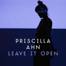 프리실라 안 새 싱글 Priscilla Ahn - Leave It Open (2013) 커버 이미지