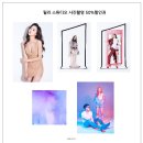 렛미펫 이미지