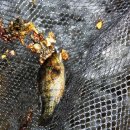 귤암리캠핑장 이미지