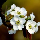 회현농장 이미지