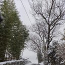 살구나무집민박 이미지