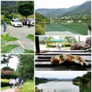 호수공원7로 이미지