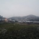 지명한우농장 이미지