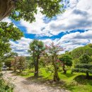 메이 캠프 이미지