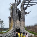 여고초등학교