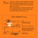 [연극] 기획초청 Pick크닉 유원 기본정보│국립극단 명동예술극장