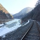 코레일사이버역장 추천하는 정선아리랑 A-train 시승기 및 후기