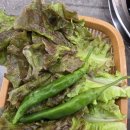 박대박 왕소금구이 이미지