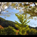 휴림펜션B 이미지