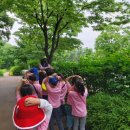 고일어린이집 이미지