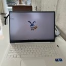 [컴퓨터] 2024 LG Gram Pro 16 구입 후기