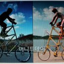 대원여행 Daum카페