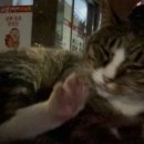 지코바 미아역점 이미지