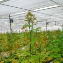 오수농장 이미지