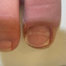 레푸스 평택소사벌점 이미지