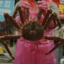 대원수산 네이버블로그