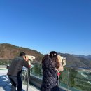 충주에서 충북 보은으로 충북알프스자연휴양림 충북...가볼만 한곳 속리산테마파크 모노레일 후기 겨울여행