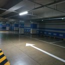 라이프블루 피트니스 이미지