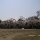 금강교옆 공원 이미지