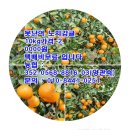 지웅이네과수원