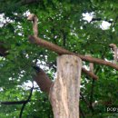 목통마을 입구 이미지