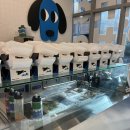 아쿠아산타서울숲카페 | 성수점 + 아쿠아산타 성수카페 + 무신사 스탠다드 성수 + 뉴뉴 볼꾸+ 한정선 성수+ 서울숲 누룽지 통닭구이