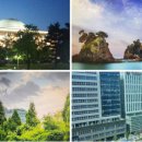 DW민주행정사무소 이미지