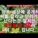 특허로 만나는 우리 약초 이미지