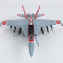 [REVELL] 1/48 F/A-18F SUPER HORNET(two seater) 완성! 이미지
