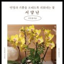 푸른꽃마을 - 원주시 원문로 164 | 푸른꽃마을