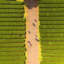 동광리-19 이미지